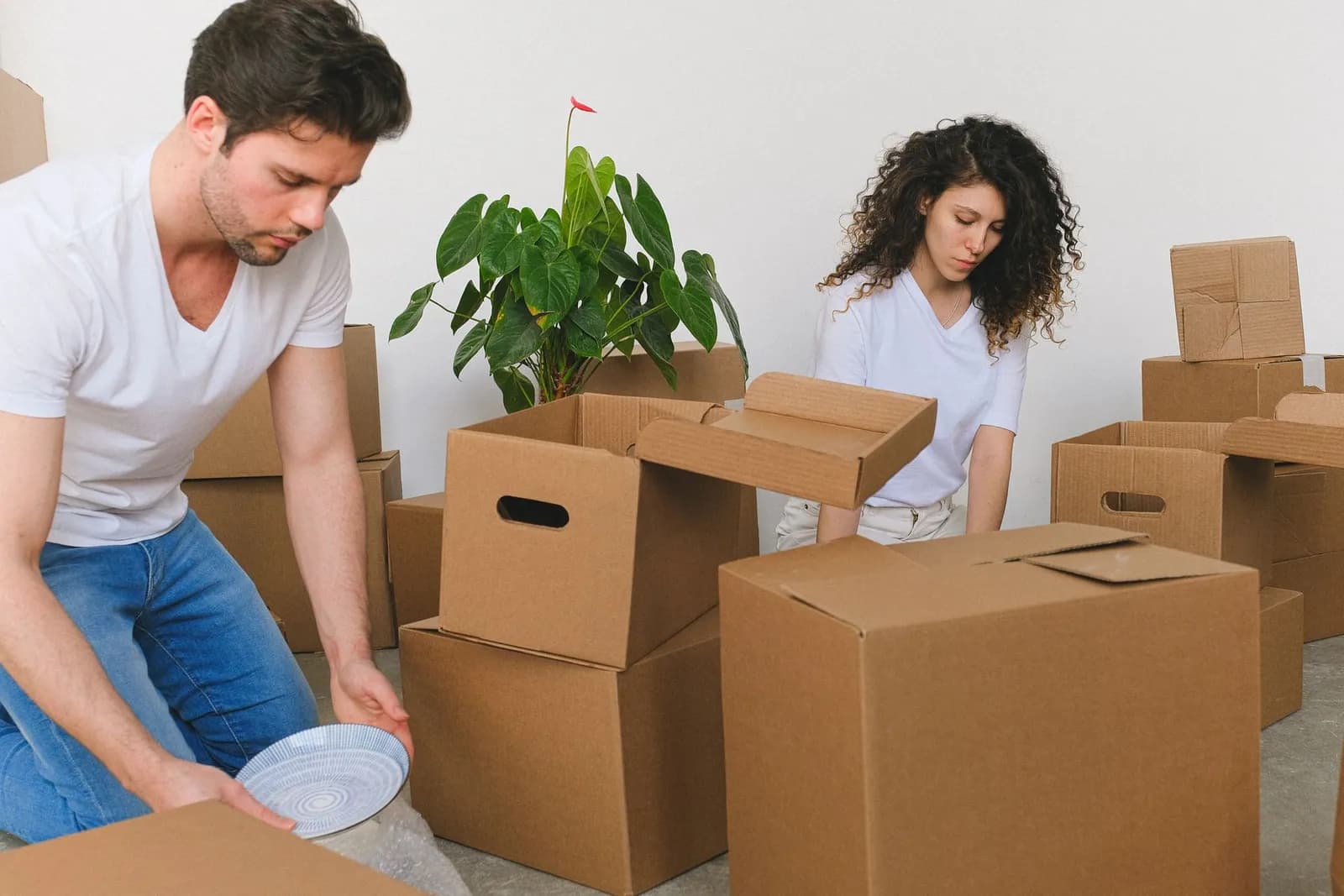 Move In / Move Out Cleaning